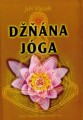 dznana_joga58b04ba52adcc