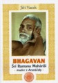 bhagavan_sri_ramana_2vyd58b05ccd5db77